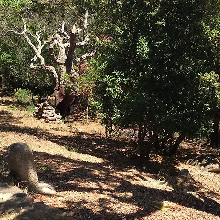 Les Hauts De Porto-vecchio 3*